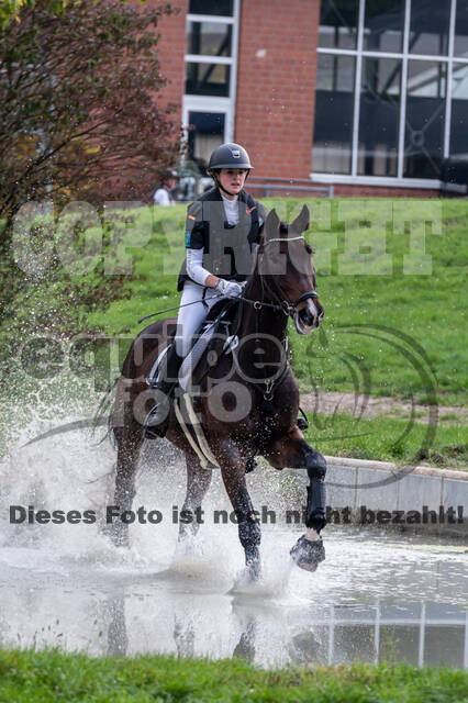 Goldene Schärpe 2020 - Pferde