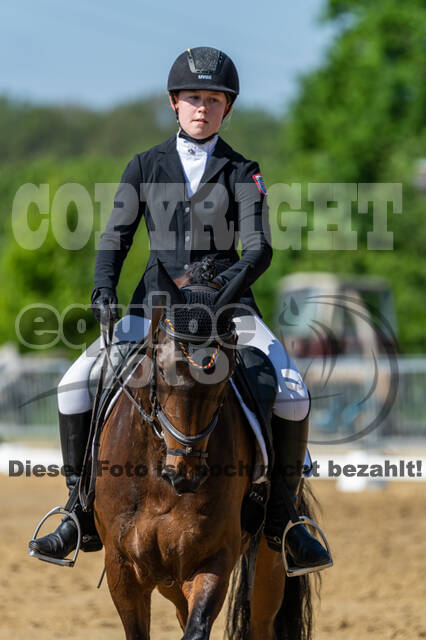 Westerstede Horse Trials 2021