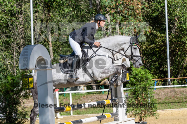 RFV Dinslaken-Hiesfeld (Herbstturnier)