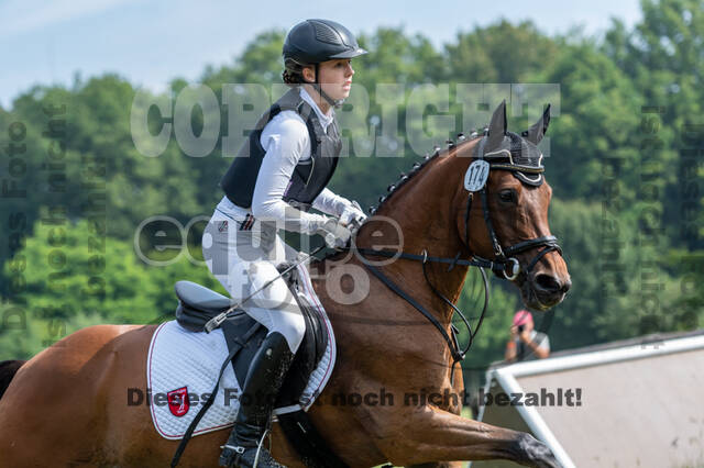 Goldene Schärpe 2021 - Ponys