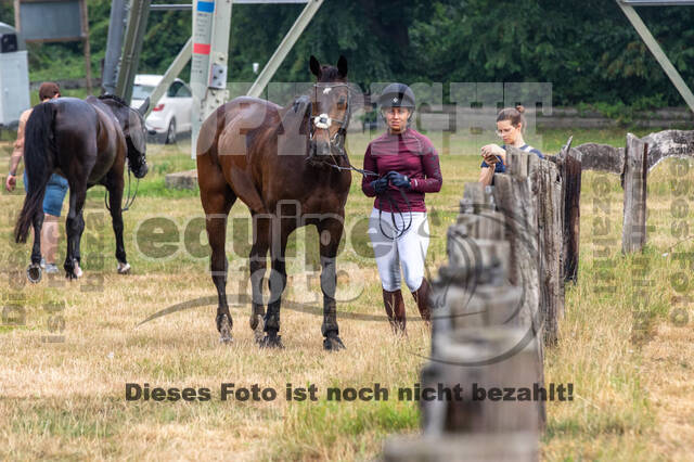 Late-Entry Vielseitigkeit Hamminkeln/Wesel (01.+02.08.2020)