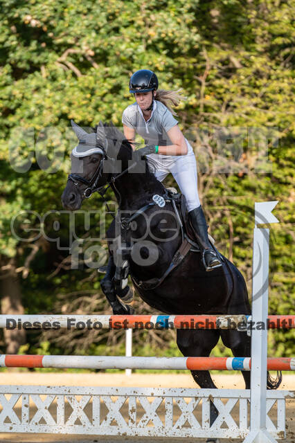 RFV Dinslaken-Hiesfeld (Herbstturnier)