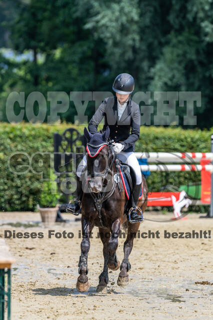 Goldene Schärpe 2021 - Ponys