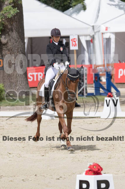 FEI European Championship Eventing 2017