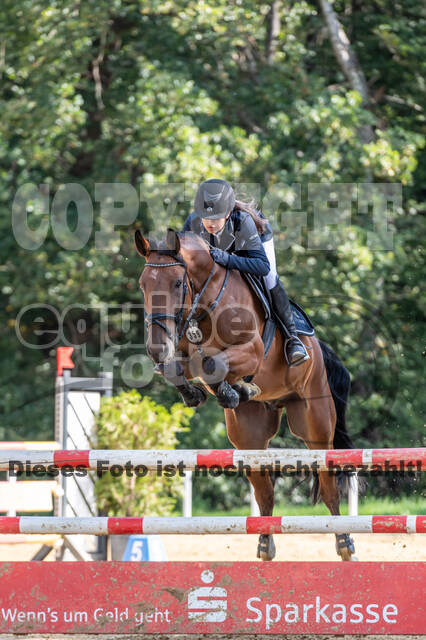 RFV Dinslaken-Hiesfeld (Herbstturnier)