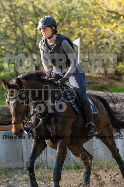 IGV Lehrgang der Sieger der Cups mit Frank Ostholt