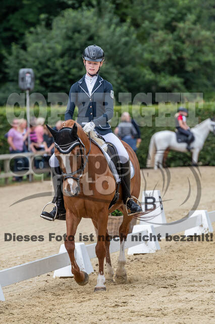 Goldene Schärpe 2021 - Ponys