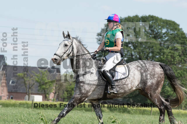 Vielseitigkeitsturnier ZRuFV von Lützow Hamminkeln
