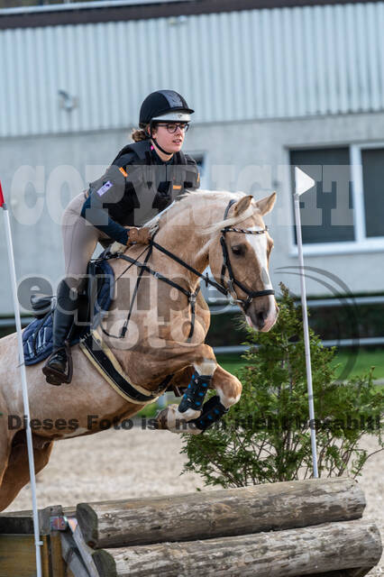 IGV Lehrgang der Sieger der Cups mit Frank Ostholt