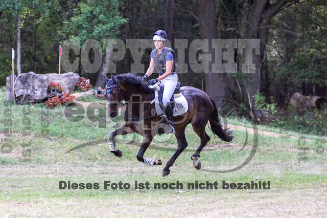 Late-Entry Vielseitigkeit Hamminkeln/Wesel (01.+02.08.2020)