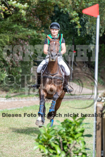 Landesturnier Rheinland, Vielseitigkeit, 22.+23.08.2020