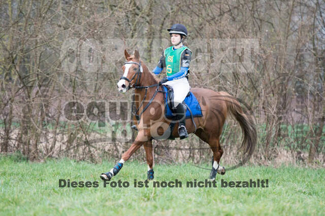 Frühjahrsvielseitigkeit RV Seydlitz Kamp