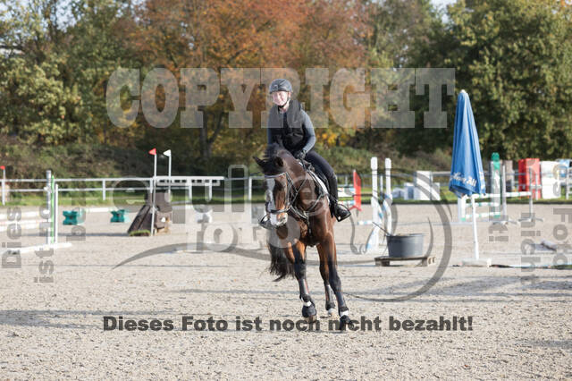 IGV Lehrgang der Sieger der Cups mit Frank Ostholt