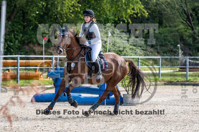 Late-Entry-Vielseitigkeit Langenfeld (11.+13./14.06.2020)