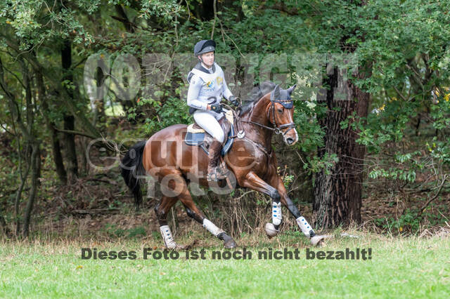 Vielseitigkeit RSV Wesel Obrighoven (26.+27.09.2020)