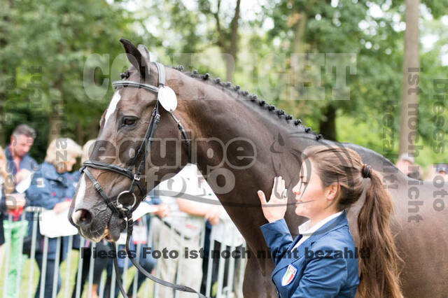 FEI European Championship