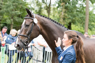 FEI European Championship