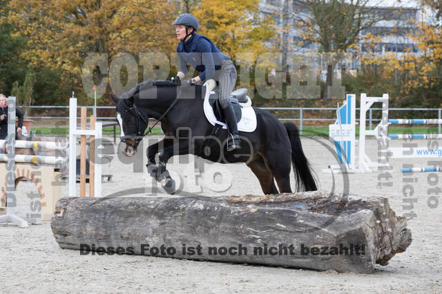 IGV Lehrgang der Sieger der Cups mit Frank Ostholt