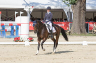 FEI European Championship Eventing 2017