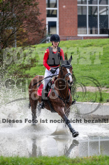 Goldene Schärpe 2020 - Pferde