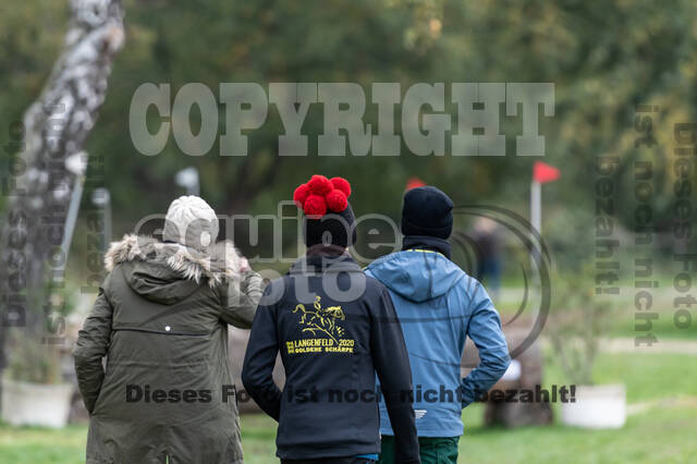 Goldene Schärpe 2020 - Pferde