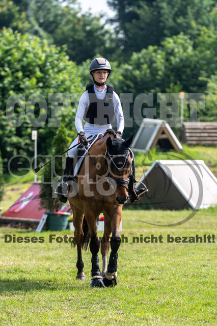 Goldene Schärpe 2021 - Ponys