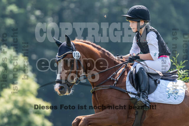 Goldene Schärpe 2021 - Ponys
