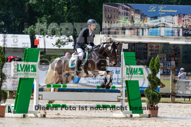 Goldene Schärpe 2021 - Ponys