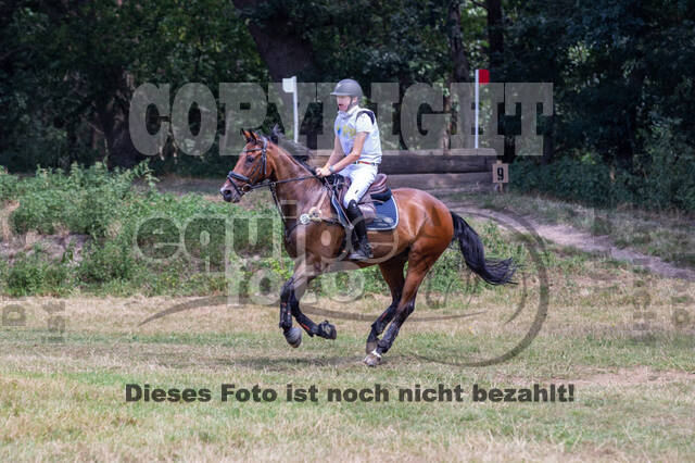 Late-Entry Vielseitigkeit Hamminkeln/Wesel (01.+02.08.2020)