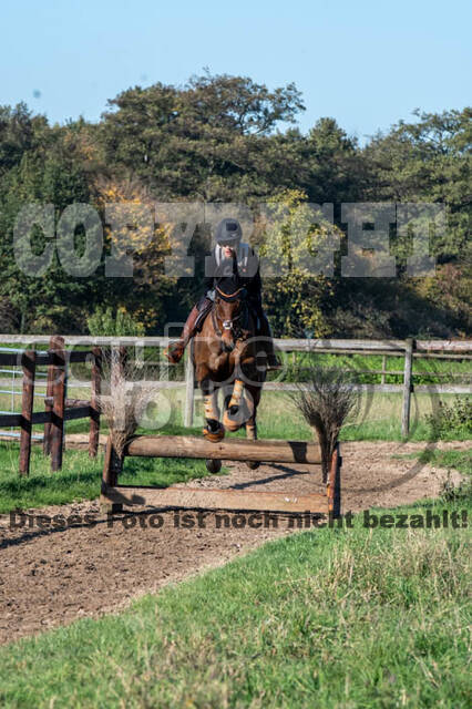 Vielseitigkeitslehrgang mit Jürg Kurbel (9.+10.11.2019)