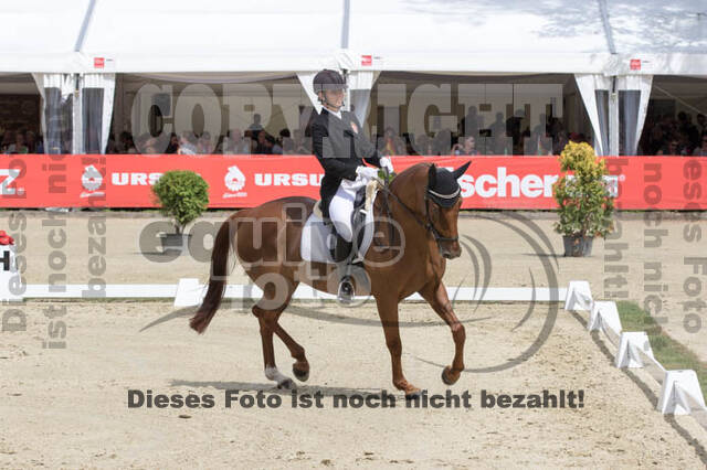 FEI European Championship Eventing 2017