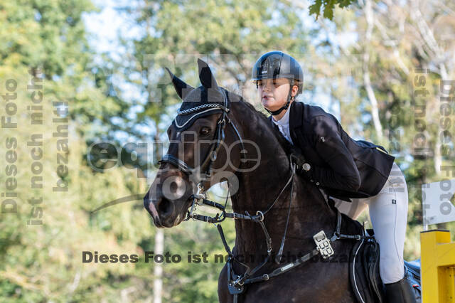 RFV Dinslaken-Hiesfeld (Herbstturnier)