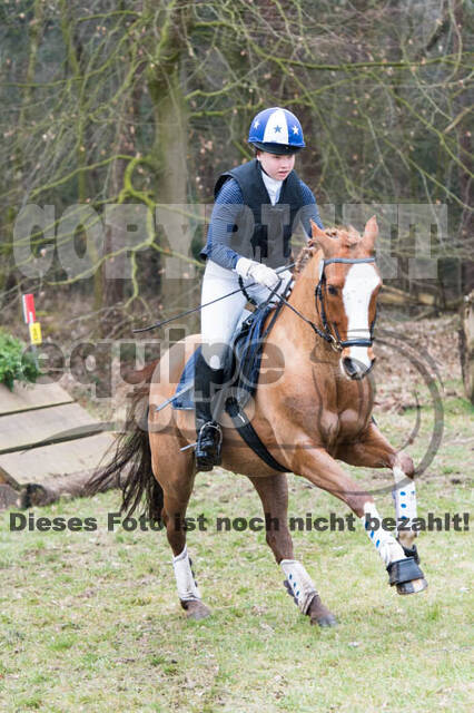 Jungpferdetag Hamminkeln