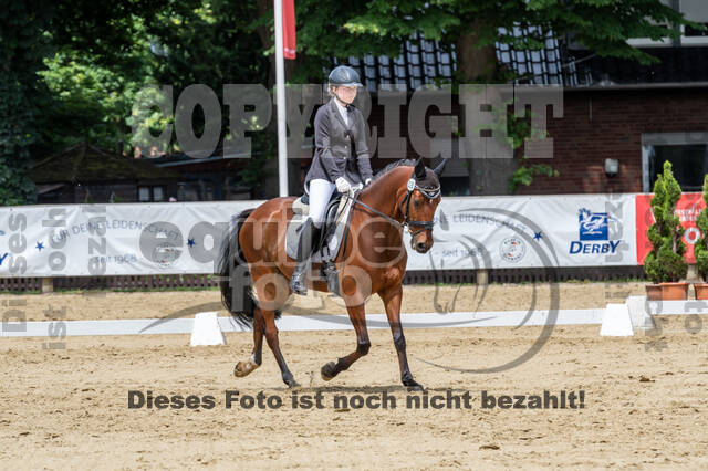 Goldene Schärpe 2021 - Ponys