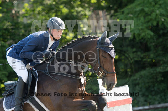 Vielseitigkeitsturnier ZRuFV von Lützow Hamminkeln