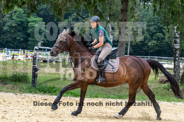 Hunter Geländetraining 10.07.2021 (Sonsbeck)