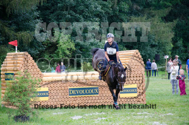 FEI European Championship