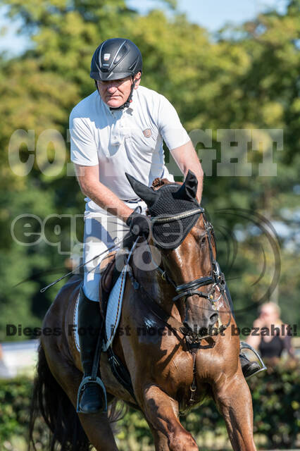 Kronenberg - De Peelbergen (August 2020)