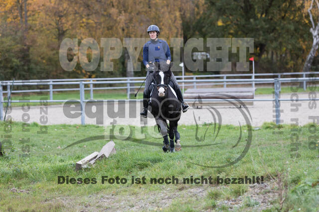 IGV Lehrgang der Sieger der Cups mit Frank Ostholt