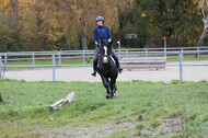 IGV Lehrgang der Sieger der Cups mit Frank Ostholt