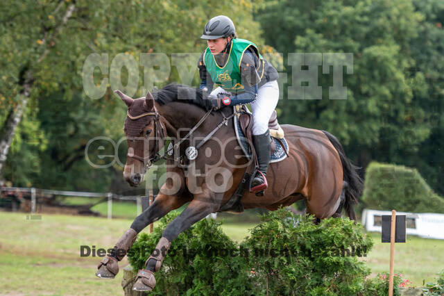 Vielseitigkeit RSV Wesel Obrighoven (26.+27.09.2020)