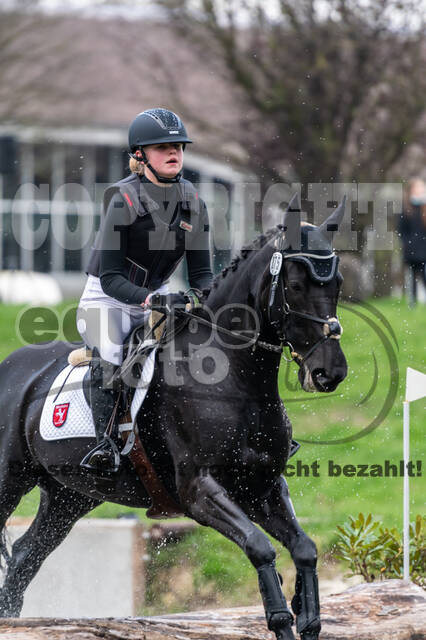 Goldene Schärpe 2020 - Pferde
