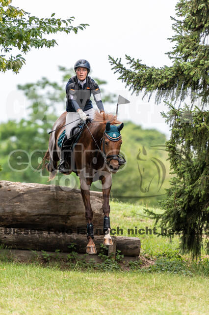 Late-Entry-Vielseitigkeit Langenfeld (11.+13./14.06.2020)