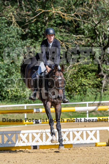 RFV Dinslaken-Hiesfeld (Herbstturnier)