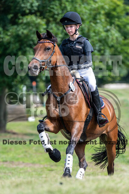 Goldene Schärpe 2021 - Ponys