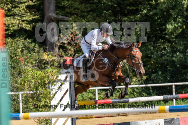 RFV Dinslaken-Hiesfeld (Herbstturnier)