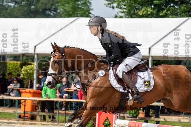 Goldene Schärpe 2021 - Ponys