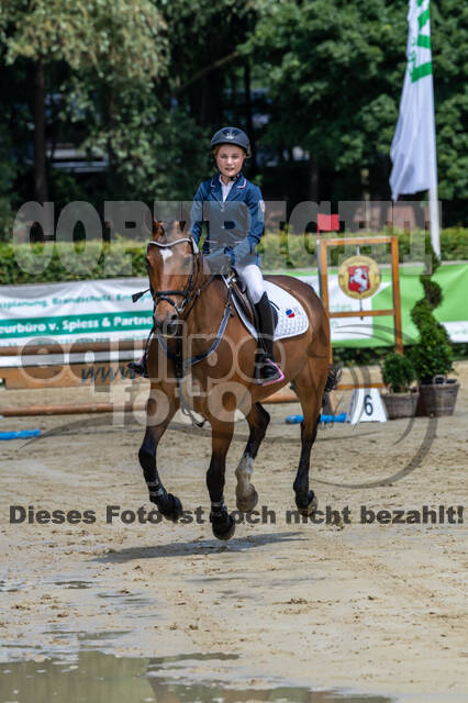 Goldene Schärpe 2021 - Ponys