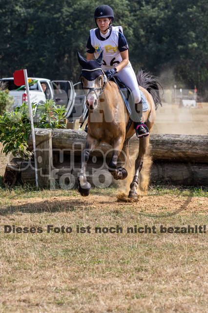 Late-Entry Vielseitigkeit Hamminkeln/Wesel (01.+02.08.2020)