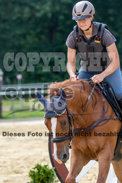 Hunter Geländetraining 10.07.2021 (Sonsbeck)